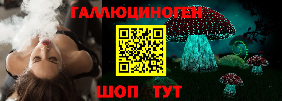 Галлюциногенные грибы Cubensis  Вход с VPN  Новочеркасск  Псилоцибиновые грибы Psilocybine cubensis 